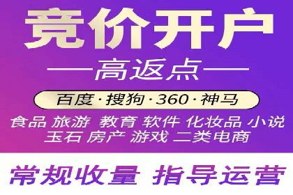 行业领先企业背后的信息流代运营案例